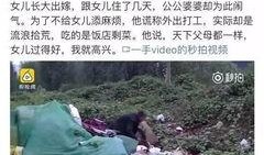 屯子最新爆料视频大全,揭秘热点事件，带你领略网络风云